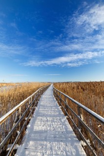 jetty to a boathouse at the federsee in Germany