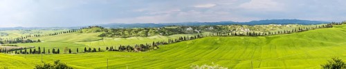 Biancane di Leonina, hilly landscape with cypresses, Crete Senesi, province of Siena, Tuscany,