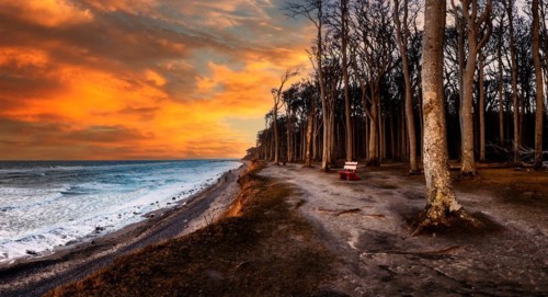 Panorama Steep Coast Baltic Sea Nienhagen