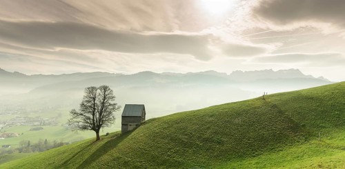 Idyllic and peaceful mountain landscape with a secluded wooden barn and lone tree on a grassy