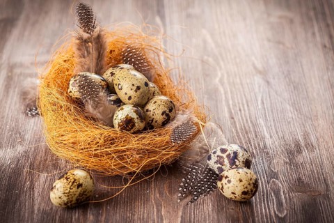 Easter eggs with nest on wooden background in vintage style
