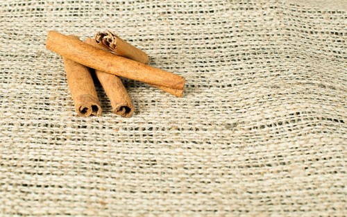 Cinnamon close up on wooden base. Copy space