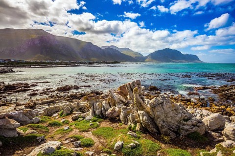 The azure water, boulders and algae of the Atlantic. Surroundings of Cape Town. Boulders Penguin