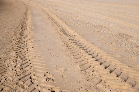 Parallel tire tracks crossing a sandy beach on a sunny day