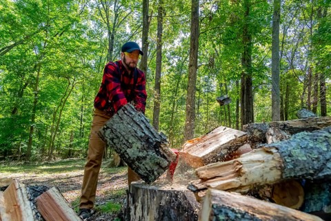 A robust young man wields an axe, skillfully cutting wood on his property. He clears the land while