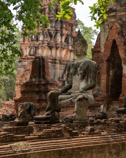 A picture of a Buddha statue at the Wat Mahathat Temple