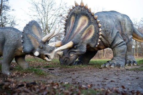 LUBIN, POLAND - DECEMBER 31, 2023 - Realistic model of dinosaur triceratops in Park Wroclawski.