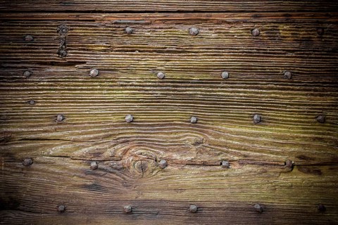 Old wooden boards, with moss and rusty nails