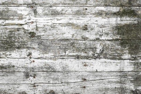 White wood texture, with traces of peeling and mold. Ideal for textures, backgrounds and concepts