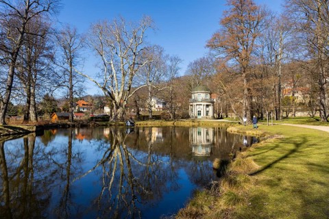 Spring in the English garden in Pillnitz Palace Park, Dresden, Saxony, Germany