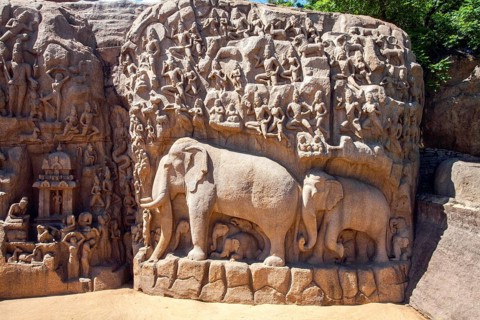 Elephant carved wall, mahabalipuram temple, tamilnadu, india, asia