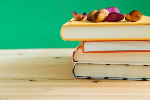 Books with dry rose petal on a wooden desk