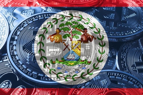 Belize bitcoin flag, national flag cryptocurrency concept black background