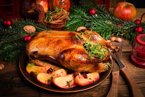 Christmas duck