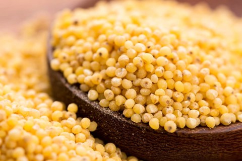 Millet groats, lodz, poland