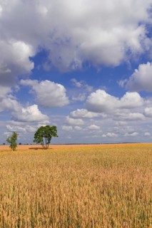 Summer in Poland