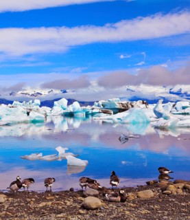 Jökulsárlón Glacial Lagoon in Iceland. Clouds, ice floes floating in the ocean, and polar birds
