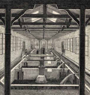 Fish farming at Huningue, Haut-Rhin department, Alsace, France, 19th century