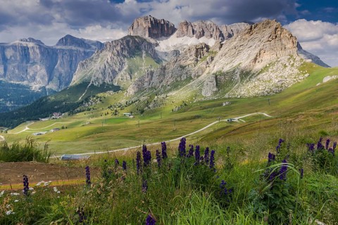 View over the meadows and the flowers in the Sella Group