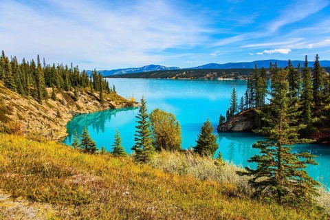 Indian summer in Canada, warm sunny day in autumn. Abraham Lake is the most beautiful lake in the