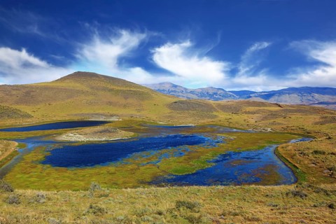 National Park Torres del Paine. Dreamland Patagonia. Blue water grassy lake