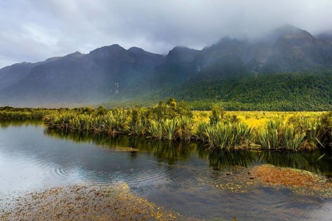 Mirror Lake. Road to Milford Sound on a foggy morning. Clouds and fog cover the mountains. The