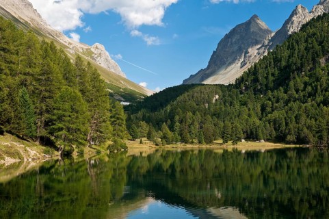Der Palpuognasee (romanisch Lai da Palpuogna) ist ein See im Kanton Graubünden in den