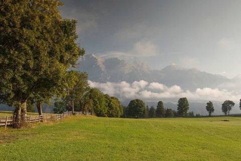 On pasture in the mountains