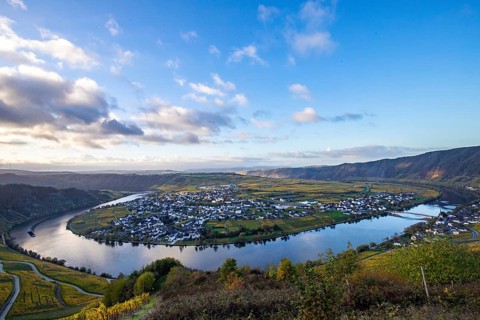 Beautiful vineyards in autumn, yellow leaves, a wonderful sunrise in the middle of the vineyards.