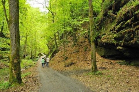 Malerweg and rock gate, in Uttewalder Grund, Saxon Switzerland