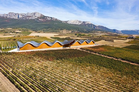 Bodegas Ysios winery and rows of vineyards. Laguardia, Spain. The architecture of Bodegas Ysios