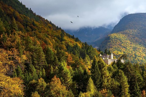 Pair of huge eagles circling in search of prey. Slovenia. Magnificent Julian Alps. Ancient ruins on