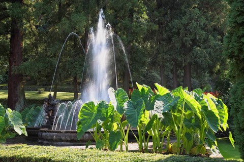 A magnificent fountain with a round bowl. A masterpiece of garden architecture - a park on Lake