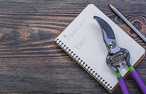 Notepad pencil secateurs on vintage wooden board gardening concept