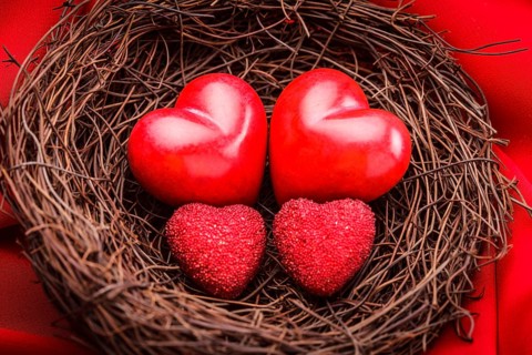Little cozy nest with four red hearts. Family concept - attachment parenting. Parents and children