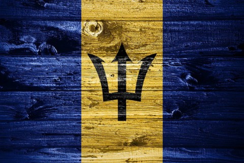 Barbados flag on wooden planks background wood flag