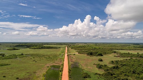 Aerial view of Transpantaneira dirt road crossing straight the North Pantanal Wetlands, blue