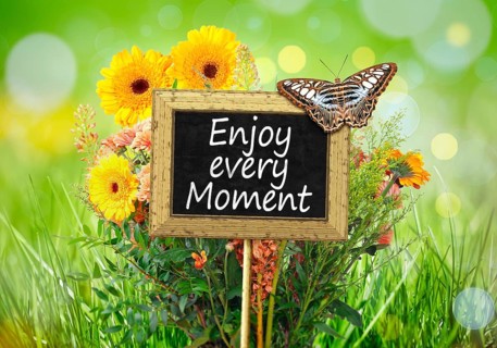 An image of a little chalkboard in the garden with the message Enjoy every Moment