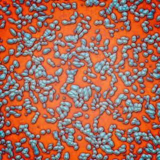 An illustration of a blue orange bacteria background