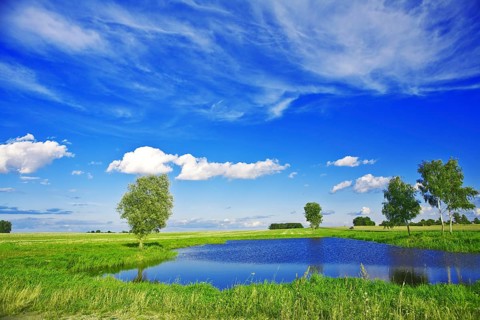 Small lake on field