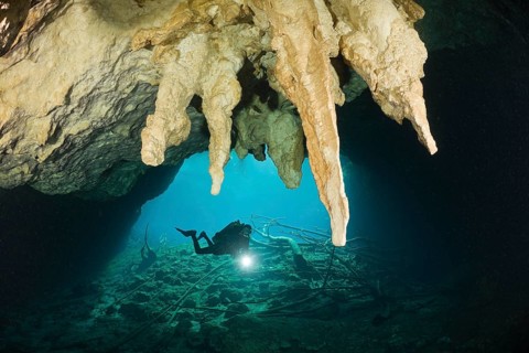 Diver in Car Wash Cenote Aktun Ha, Tulum, Yucatan Peninsula, Mexico