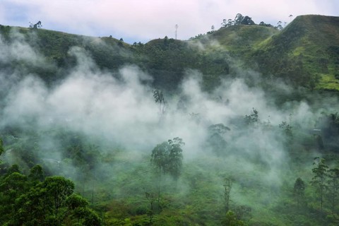 Cloud covers mountain and monsoon moisture is constantly enveloped forest is so-called cloud