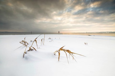 Snow-covered landscape with a few dried grasses, a cloudy sky and a calm horizon, Strandbad Hörnle,