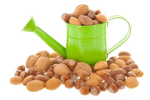 Watering can with assortment nuts isolated over white background