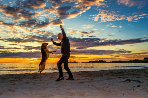 Man, dog, shepherd, standing, jumping, opposite, sunset, evening light, beach, Atlantic Ocean,