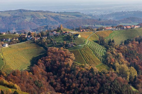 Autumn atmosphere, forest with foliage colouring, hilly landscape, vineyards, view from the
