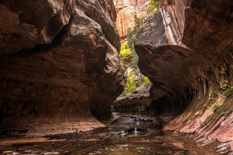 Magnificent Subway gorge landmark in the Zion National Park in Utah, USA