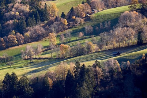 Autumn in the Liesertal near Gmünd, Carinthia, Austria