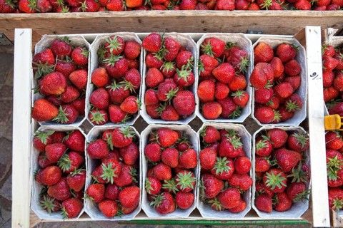 Strawberries at a market stall, Hanover, Lower Saxony, Germany, Europe, Erdbeeren an einem