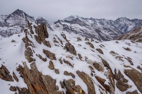 Puerto Viejo de Bielsa, Huesca, Aragón, cordillera de los Pirineos, Spain